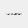 333333-94.png Canvas Print